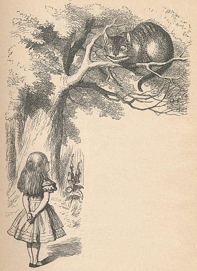 Alice_and_the_Cheshire_Cat by John_Tenniel